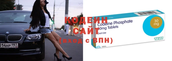 ГАЛЛЮЦИНОГЕННЫЕ ГРИБЫ Арсеньев