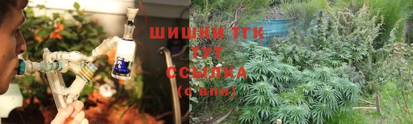 ГАЛЛЮЦИНОГЕННЫЕ ГРИБЫ Арсеньев