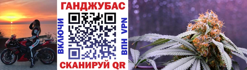 Каннабис план  продажа наркотиков  Чебаркуль 
